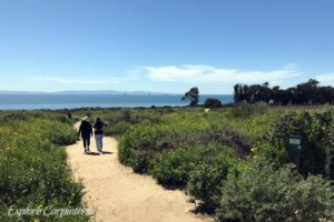 ocean view