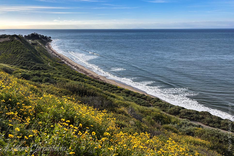 view fron rincon bluffs
